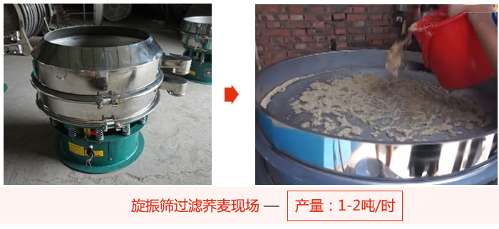 旋振篩過濾蕎麥現(xiàn)場，產量可達2噸每小時。